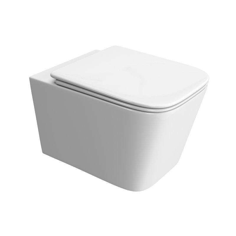 Унитаз подвесной BelBagno Due-Tor BB5171CH-TOR/SC безободковый с сиденьем, с микролифтом, Белый, BB5171CH-TOR/SC
Унитаз подвесной BelBagno Due-Tor BB5171CH-TOR/SC безободковый с сиденьем, с микролифтом, Белый, BB5171CH-TOR/SC