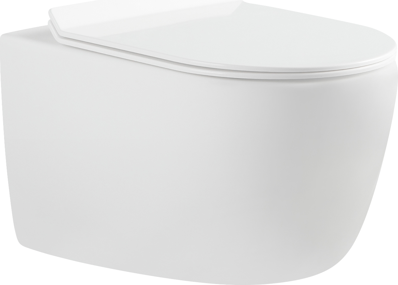 

Унитаз подвесной Aquanet Cetus-W BL-102N-WHT безободковый, белый, Cetus CETUS-W