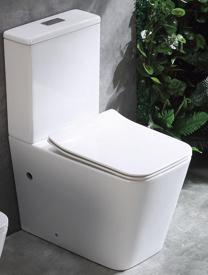 

Унитаз-компакт CeramaLux N 2170AXMW с микролифтом белый матовый, 2170AXMW