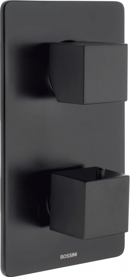 

Термостат Bossini Cube Z00061.073 для душа, черный матовый