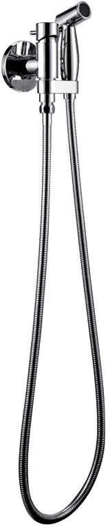 

Гигиенический душ Bravat Eler D9137CP-RUS со смесителем, Хром, Eler D9137CP-RUS