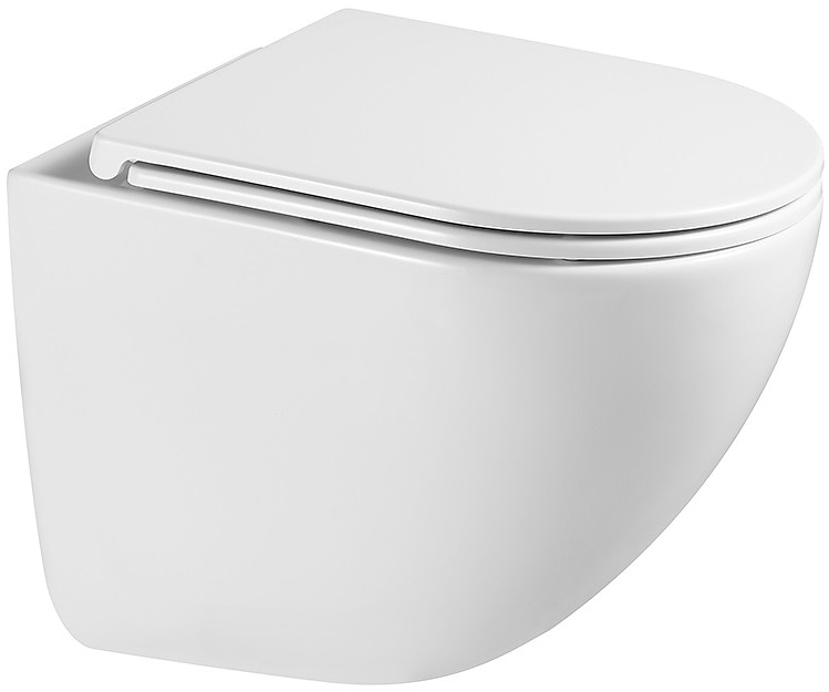 

Унитаз подвесной Terminus Аврора 01WM49x36W белый, 01WM49x36W