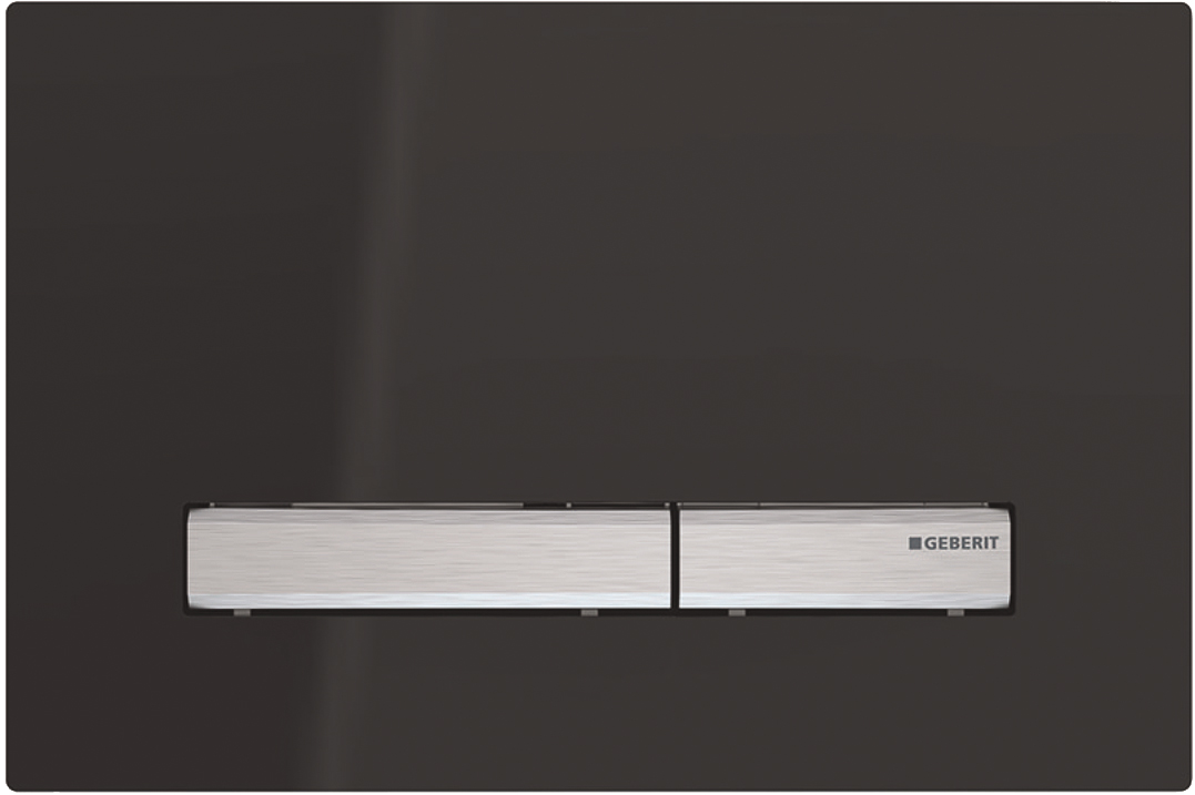 

Кнопка смыва Geberit Sigma 50 115.788.DW.2 черный