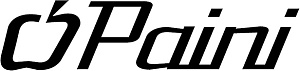 Paini